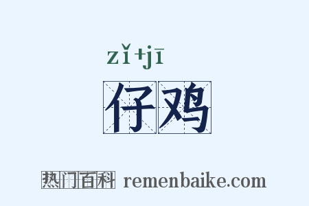 仔鸡是什么意思的图片
